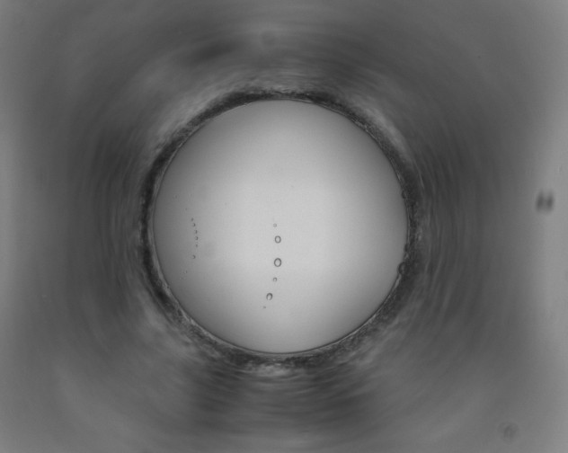 X0000093120635200709261015