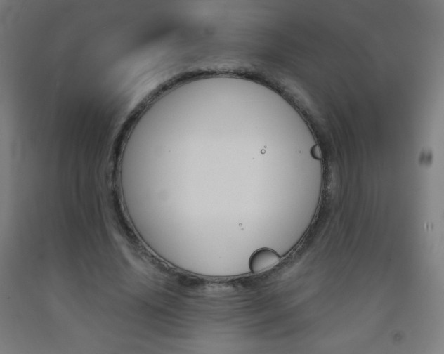 X0000093120636200709261015