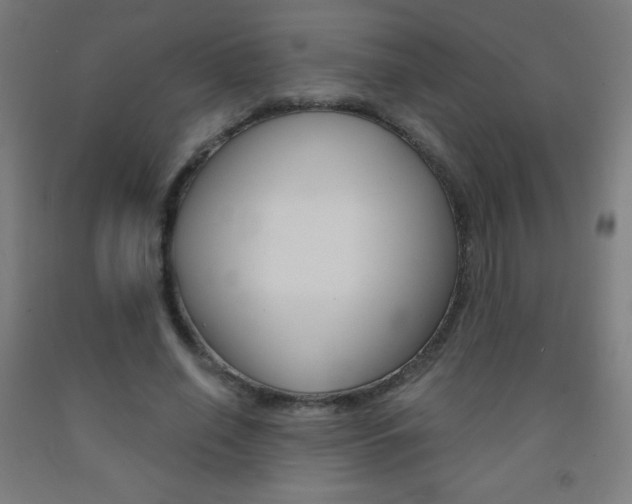 X0000093120638200709261015