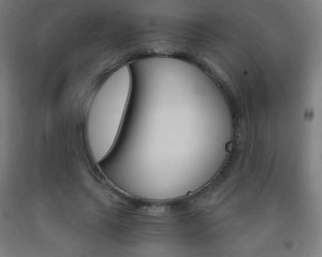 X0000093120639200709261015