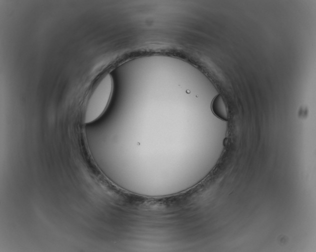X0000093120640200709261015