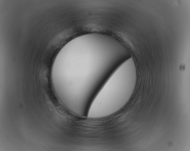 X0000093120643200709261015