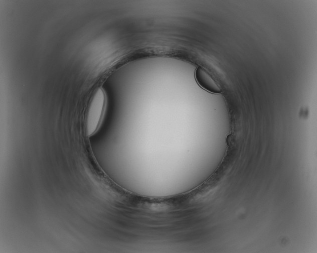 X0000093120645200709261015