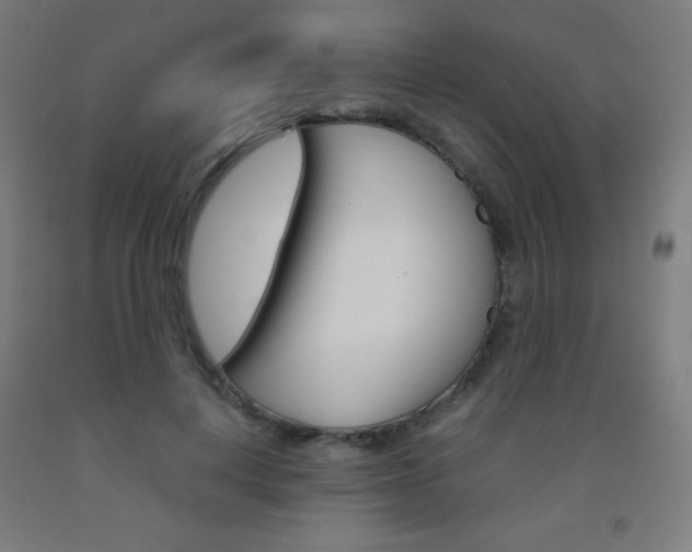 X0000093120648200709261015