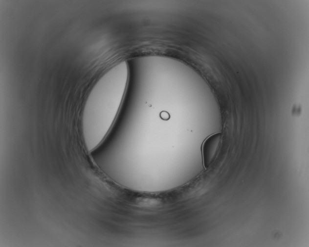 X0000093120649200709261015