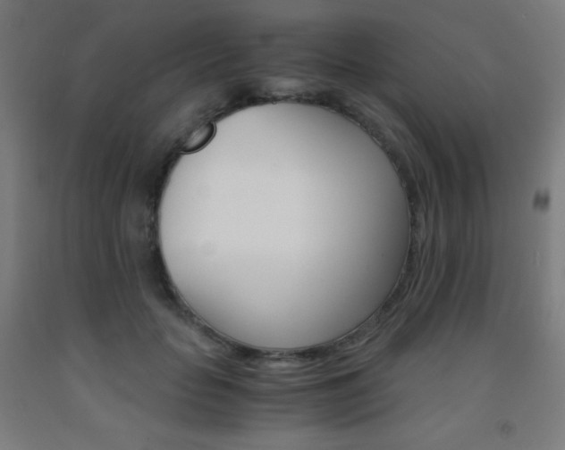 X0000093120653200709261015
