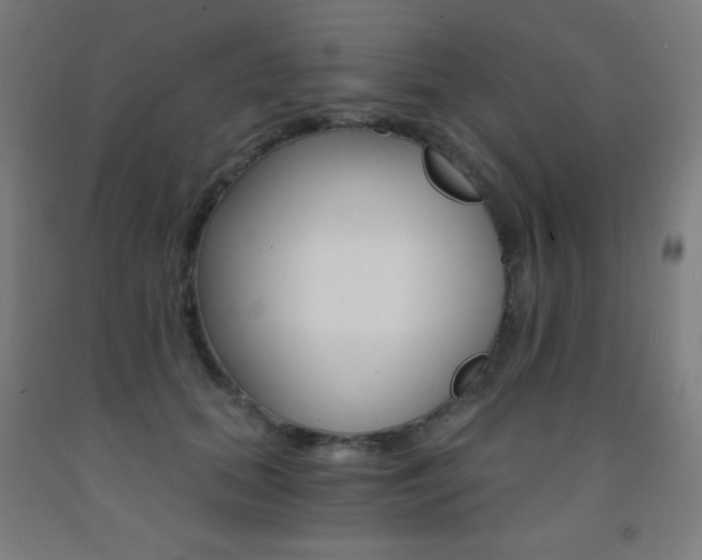X0000093120655200709261015