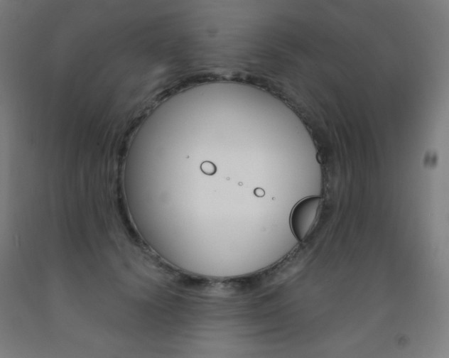 X0000093120656200709261015