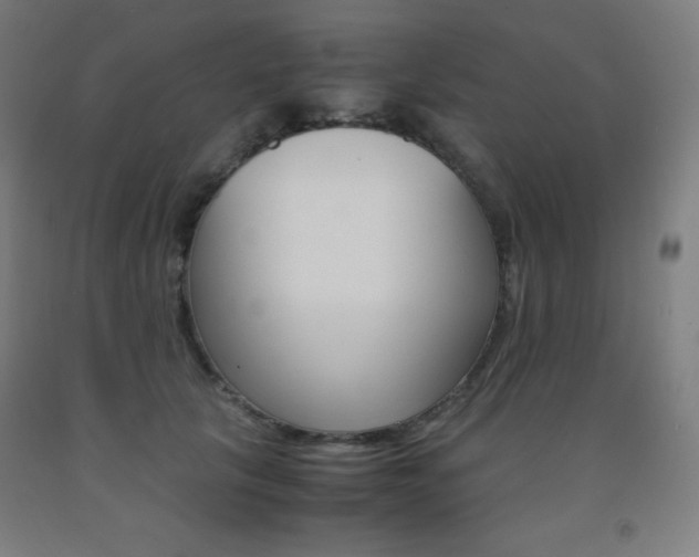 X0000093120657200709261015
