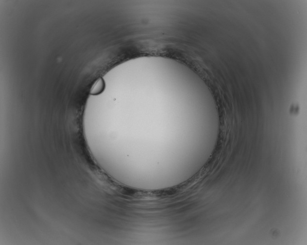 X0000093120658200709261015