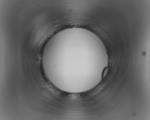 X0000093120660200709261015