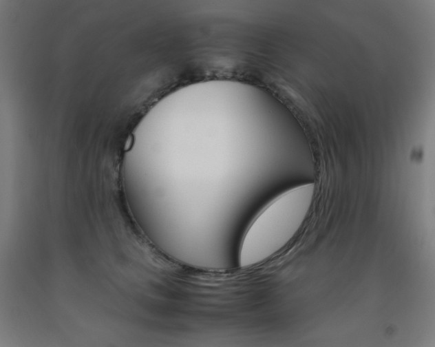 X0000093120661200709261015