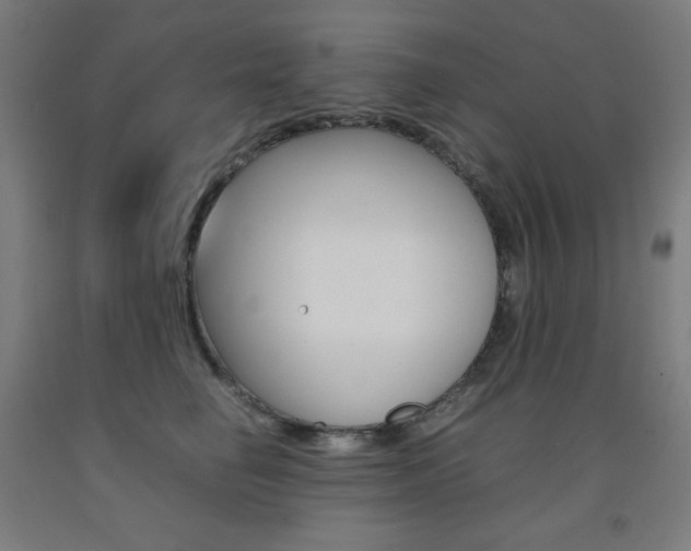 X0000093120662200709261015