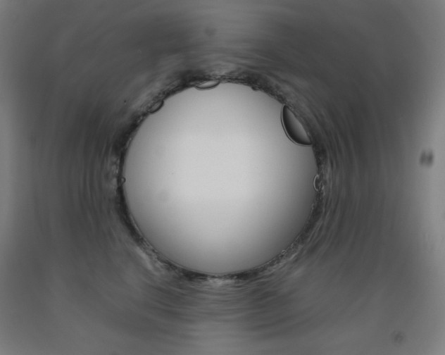 X0000093120664200709261015