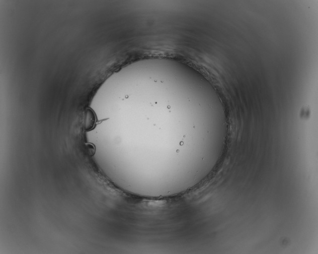 X0000093120665200709261015