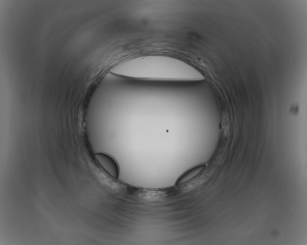 X0000093120670200709261015