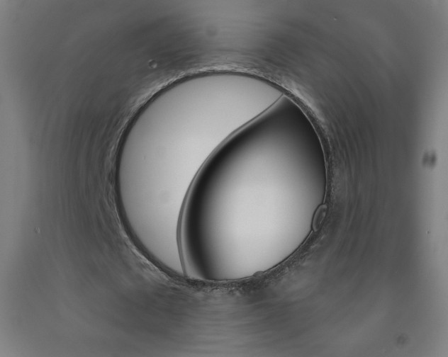 X0000093120673200709261015