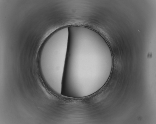 X0000093120674200709261015