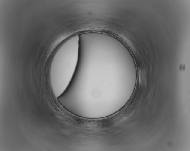 X0000093120675200709261015
