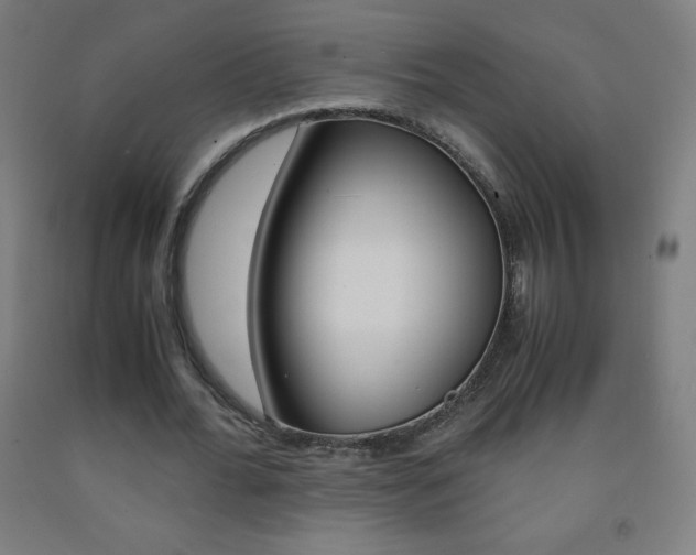 X0000093120676200709261015