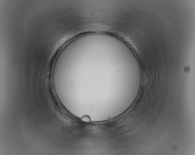 X0000093120679200709261015