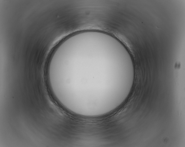 X0000093120680200709261015