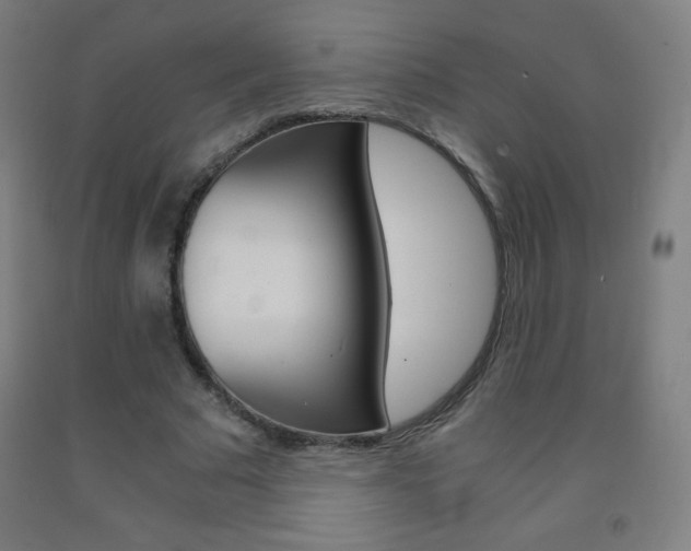 X0000093120681200709261015