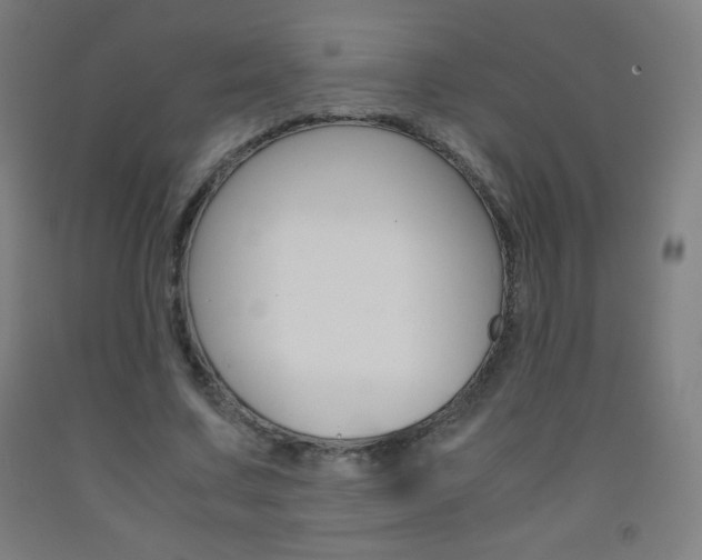 X0000093120683200709261014