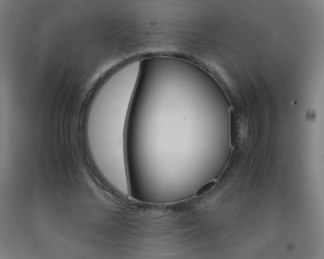 X0000093120684200709261014