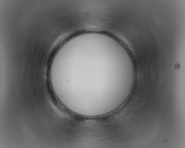 X0000093120686200709261014