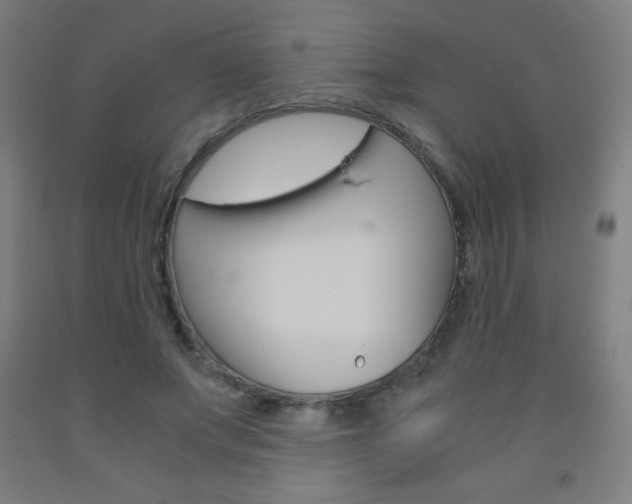 X0000093120687200709261014