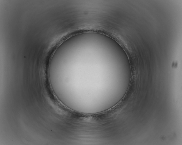 X0000093120688200709261014