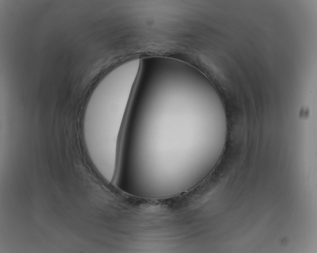 X0000093120689200709261014