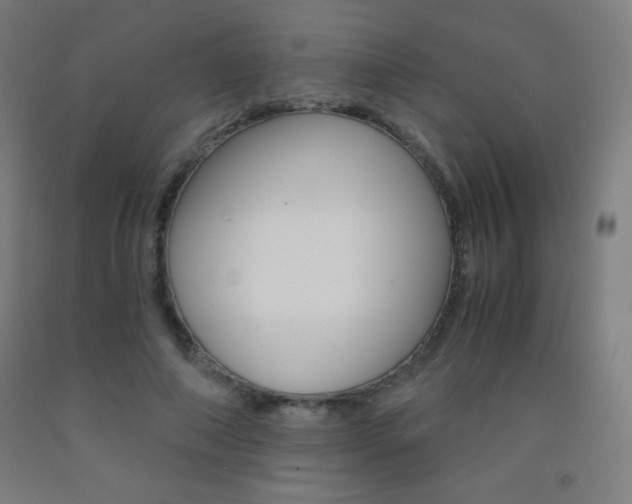 X0000093120690200709261014
