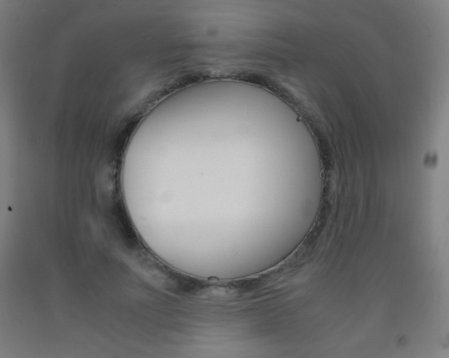 X0000093120691200709261014