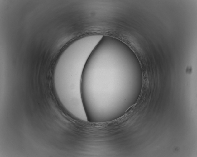 X0000093120692200709261014