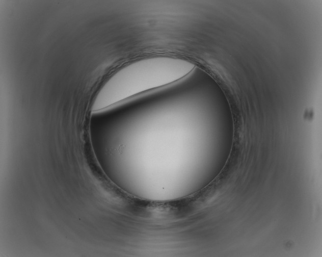 X0000093120693200709261014