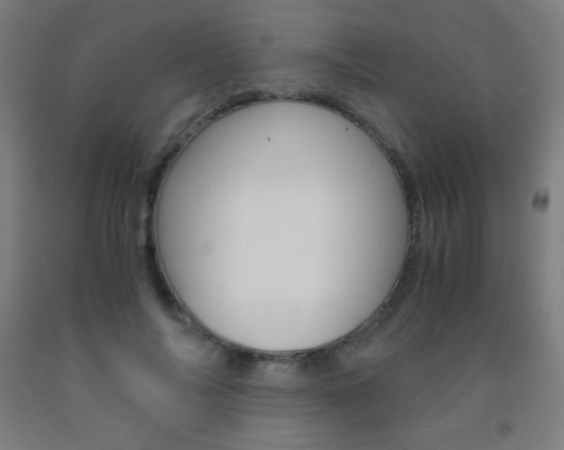 X0000093120694200709261014