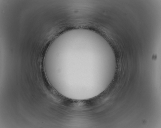 X0000093120695200709261014
