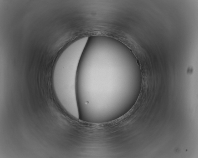 X0000093120696200709261014