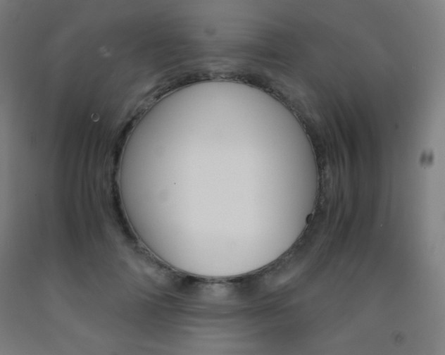 X0000093120698200709261014