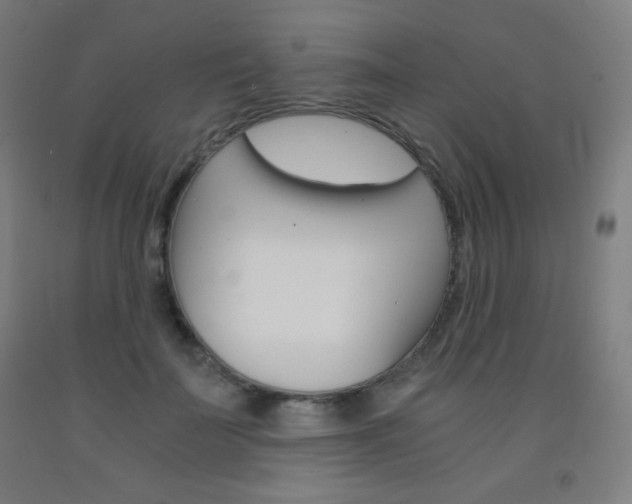 X0000093120699200709261014