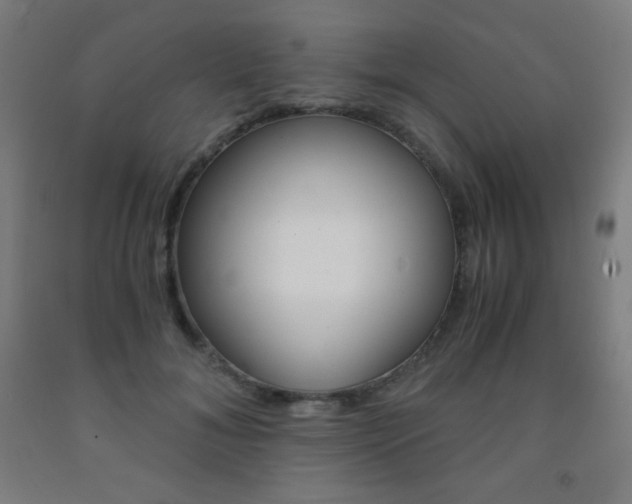 X0000093120700200709261014