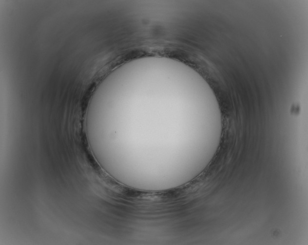 X0000093120702200709261014
