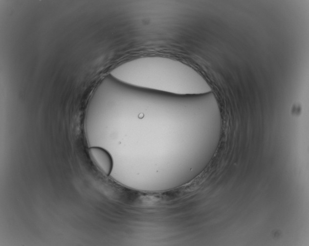 X0000093120703200709261014