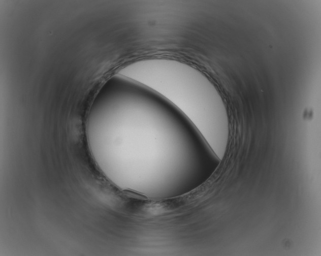 X0000093120704200709261014