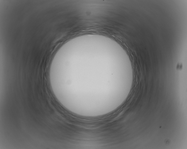 X0000093120705200709261014