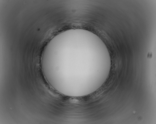 X0000093120706200709261014