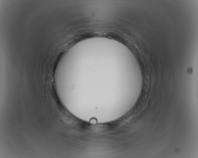 X0000093120707200709261014