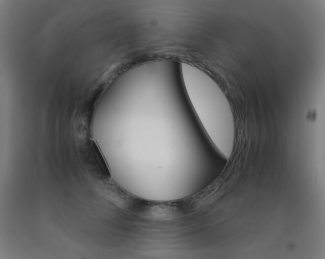 X0000093120708200709261014